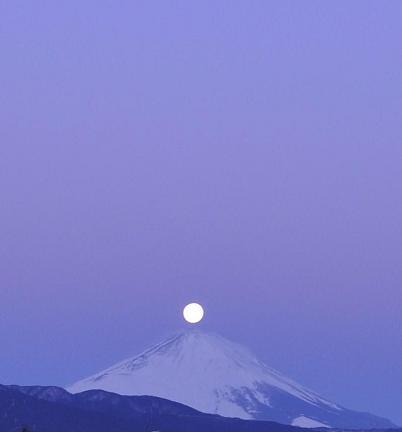 パール富士