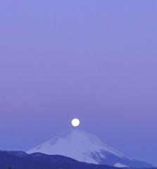 パール富士