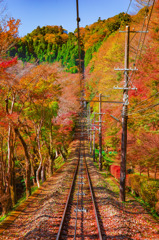 道