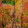 道
