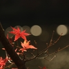 晩秋