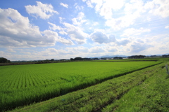 地元の夏