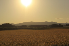 黄昏