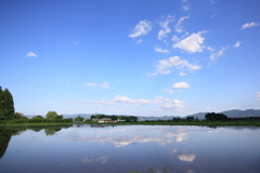 水田