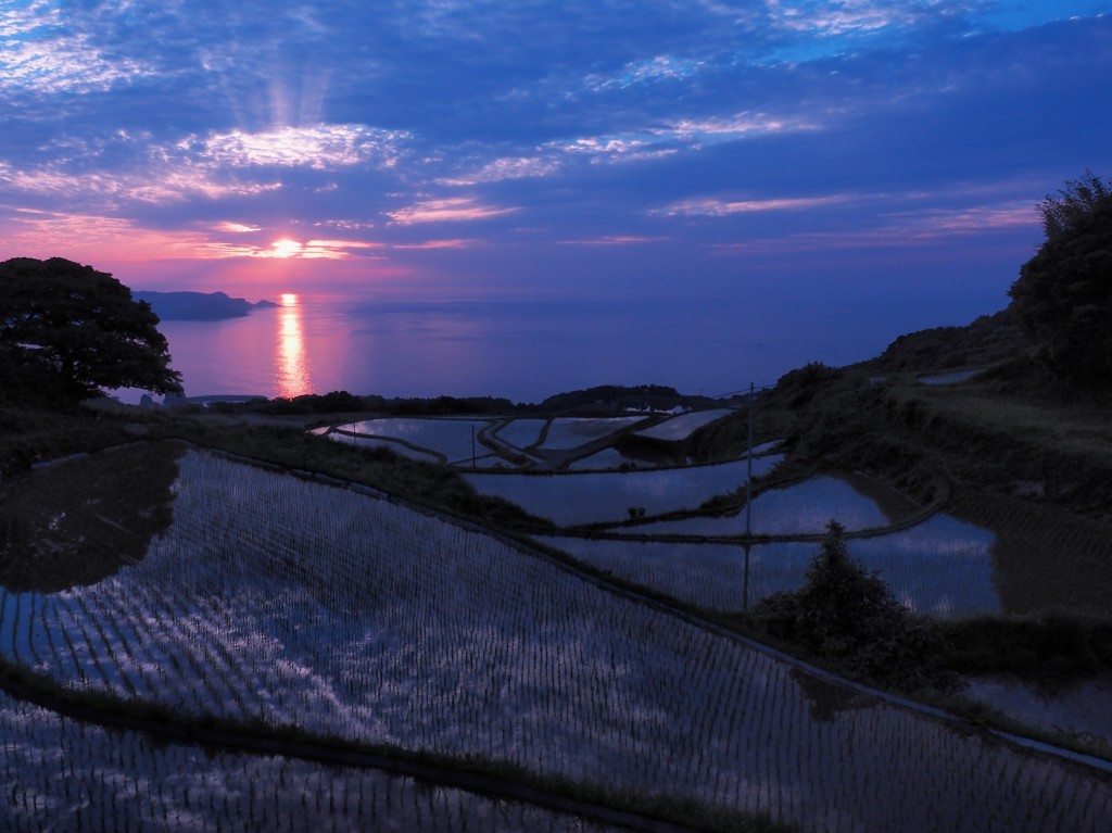 空と海と棚田