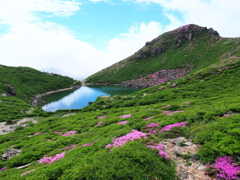 空写す御池