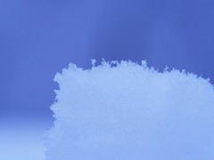 雪の一生