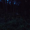 はじめまして　お姫さま