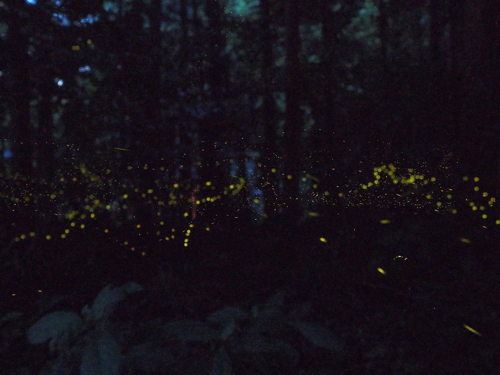 お姫さま　練習中^^;