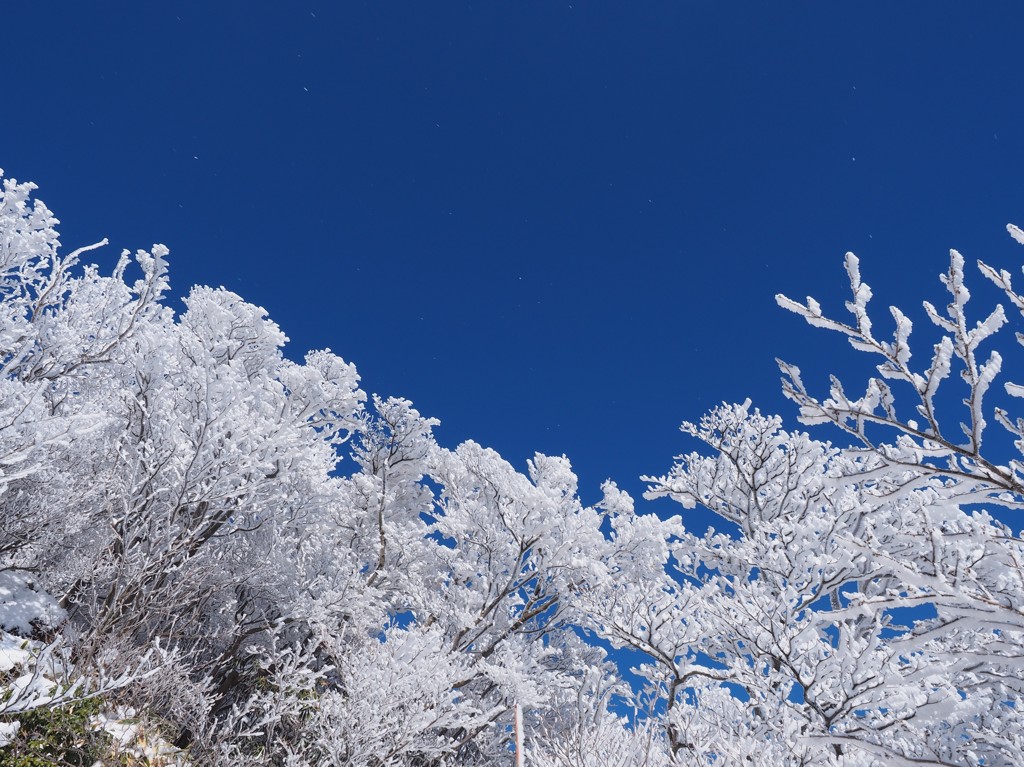 雪の華　散るとき。。。