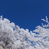 雪の華　散るとき。。。
