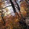 紅葉の登山道