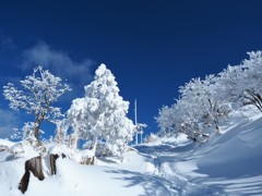 冬の英彦山