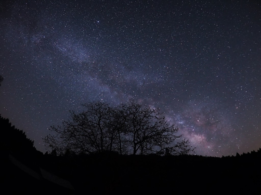 夏の夜空