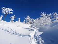 冬の英彦山