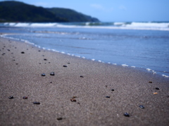 春の浜辺で。。。