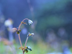 ずっと　待っています。。。