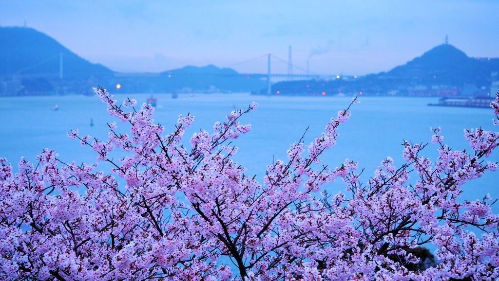 海峡の春