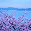 海峡の春