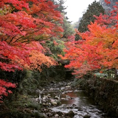 広島 佛通寺