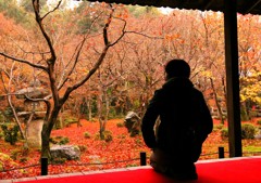 京都 圓光寺