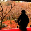 京都 圓光寺