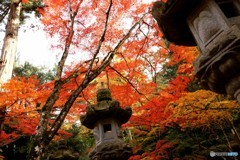 広島 佛通寺