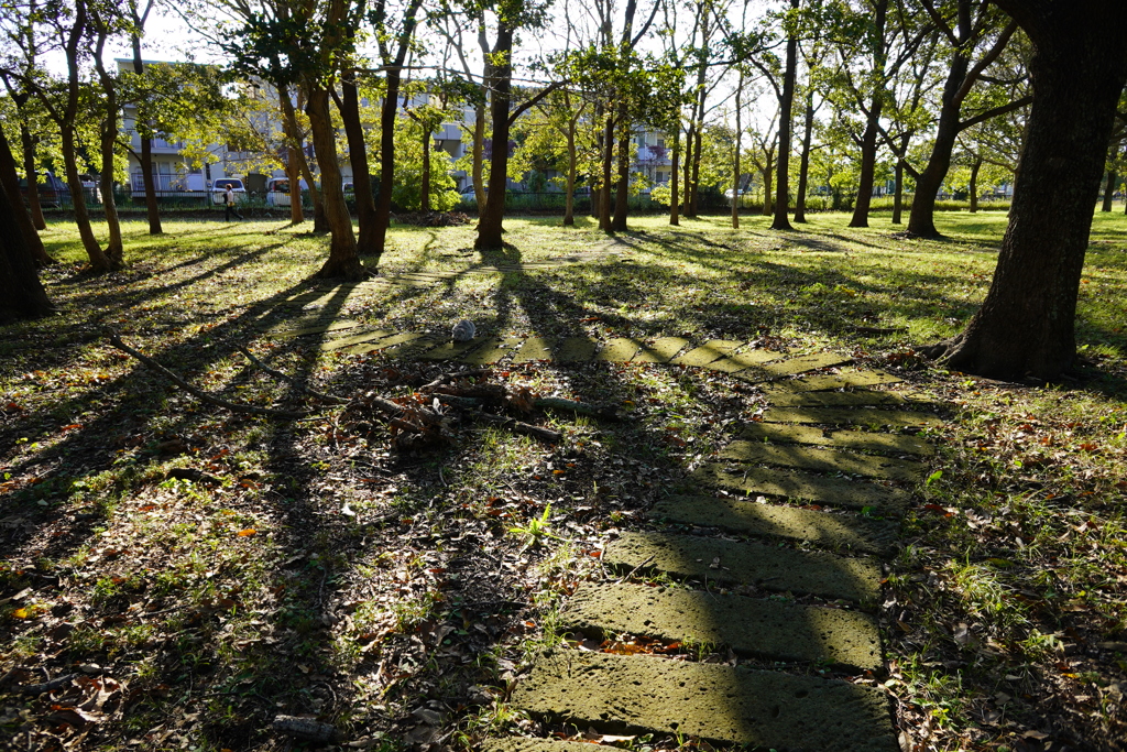 加曾利貝塚公園