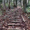 岩湧山中の登山道にて（ダイヤモンドトレール）