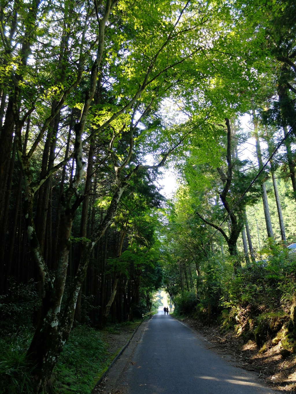 登山の帰路