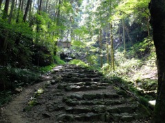 施福寺への参道
