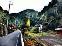 施福寺への参道