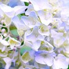 まだ早い・・・