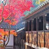 神峯山寺の秋１
