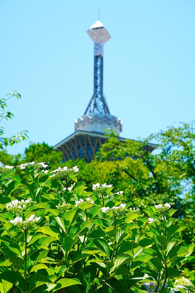 いのちの塔に見守られて