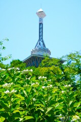 いのちの塔に見守られて