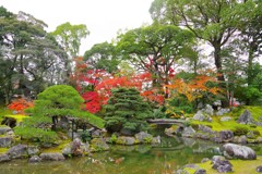 秋の三宝院の庭