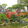 秋の三宝院の庭