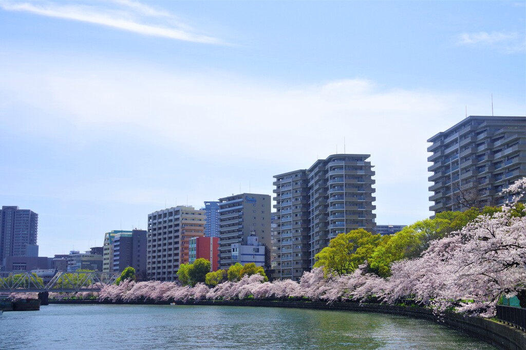 リバーサイド桜