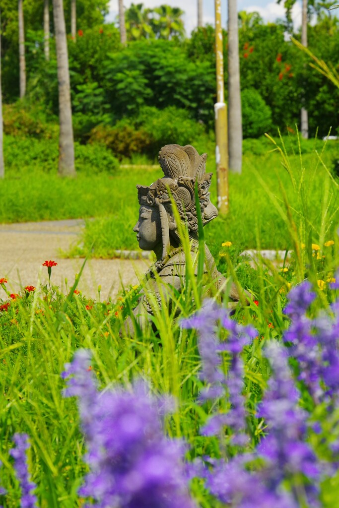 緑地でお出迎え