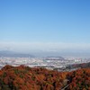 ほしだ園地「星のブランコ」2017