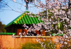 人の少ない場所で