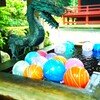 孫が持って帰ろうとする・・・