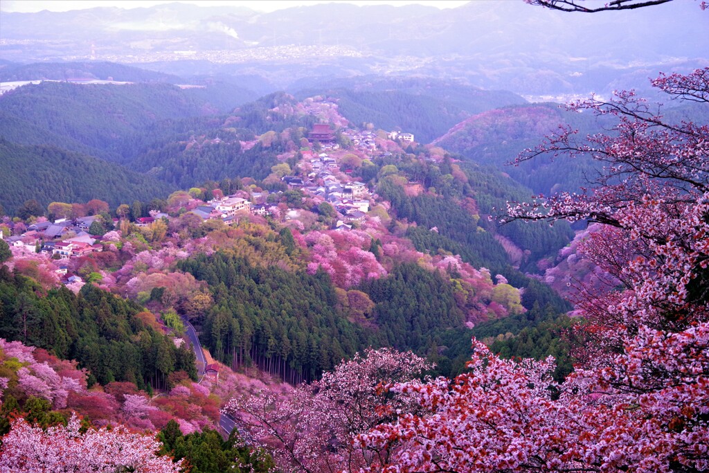 金峯山寺の眺め1