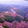 金峯山寺の眺め1