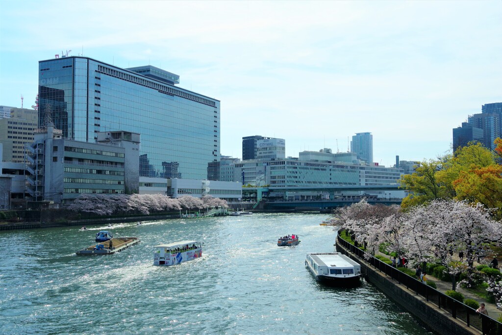 色々な船と桜