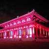 興福寺中金ライトアップ2