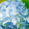 周りより早く