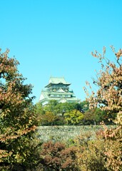 秋晴れ大阪城
