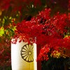 2018下賀茂神社西参道の紅葉3